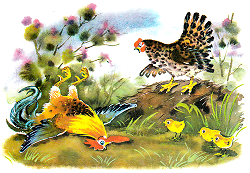 Сказки для малышей: Петушок и бобовое зернышко Сказки для малышей: Петушок и бобовое зернышко