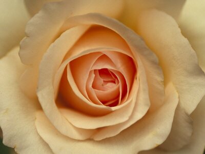 Стихи про маму Стихи про маму